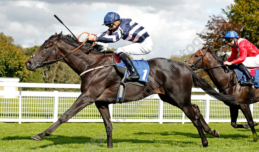 Champagne-Piaff-0004 
 CHAMPAGNE PIAFF (Hector Crouch) wins The Byerley Stud British EBF Novice Stakes Div2
Salisbury 1 Oct 2020 - Pic Steven Cargill / Racingfotos.com