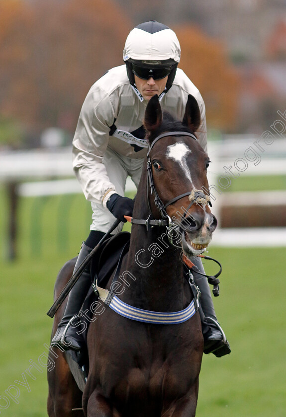 Camino-Rocio-0001 
 CAMINO ROCIO (James Davies)
Warwick 22 Nov 2023 - Pic Steven Cargill / Racingfotos.com