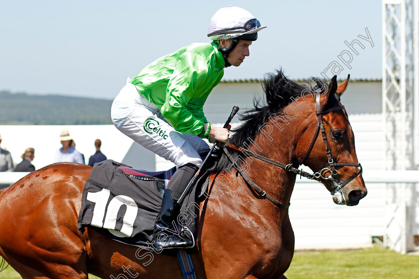 Trevor-0001 
 TREVOR (Paddy Bradley)
Goodwood 26 May 2023 - Pic Steven Cargill / Racingfotos.com