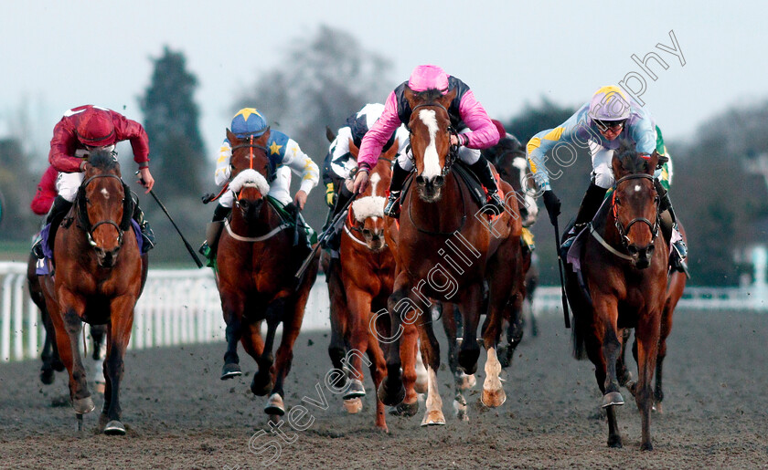 Dono-Di-Dio-0003 
 DONO DI DIO (right, Scott McCullagh) beats LAWN RANGER (centre) in The 32Red Handicap
Kempton 3 Apr 2019 - Pic Steven Cargill / Racingfotos.com