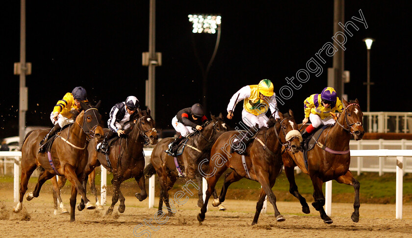 Pinnata-0007 
 PINNATA (2nd right, Sean Levey) beats GLORY OF PARIS (right) in The Bet In Play At totesport.com Handicap
Chelmsford 29 Nov 2018 - Pic Steven Cargill / Racingfotos.com