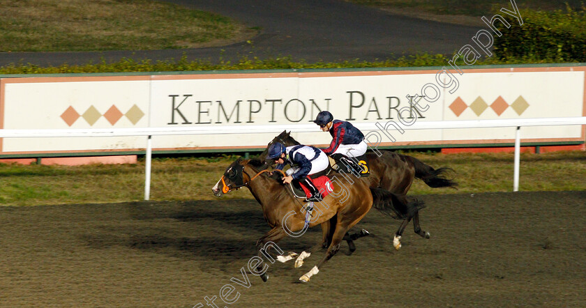 Peak-Princess-0002 
 PEAK PRINCESS (Rossa Ryan) wins The Byrne Group Handicap
Kempton 15 Aug 2018 - Pic Steven Cargill / Racingfotos.com