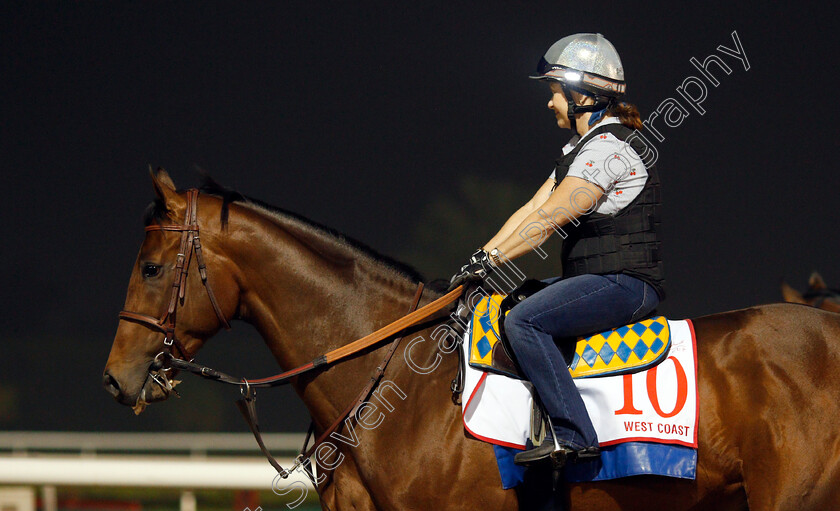 West-Coast-0008 
 WEST COAST exercising in preparation for the Dubai World Cup Meydan 29 Mar 2018 - Pic Steven Cargill / Racingfotos.com