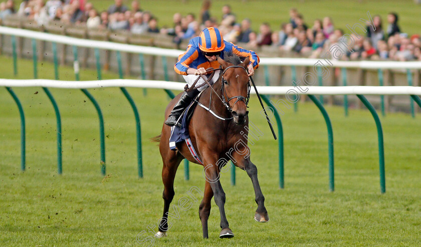 Bye-Bye-Baby-0003 
 BYE BYE BABY (Ryan Moore) wins The Blandford Bloodstock Maiden Fillies Stakes Newmarket 30 Sep 2017 - Pic Steven Cargill / Racingfotos.com