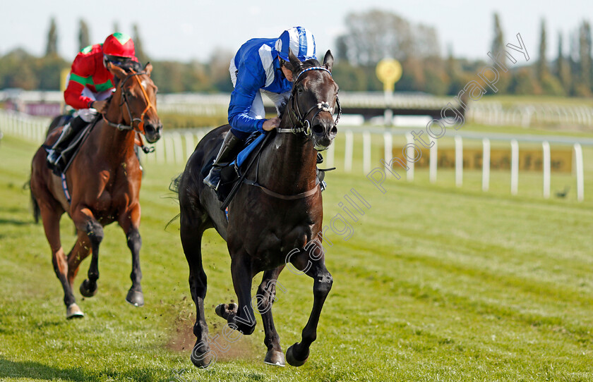 Emaraaty-0009 
 EMARAATY (Jim Crowley) wins The Wedgewood Estates EBF Novice Stakes Div2 Newbury 23 Sep 2017 - Pic Steven Cargill / Racingfotos.com