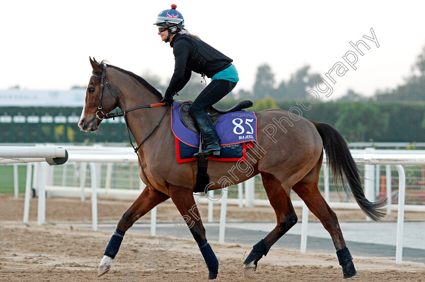 Majeed-0001 
 MAJEED, trained by David Simcock, exercising in preparation for The Dubai World Cup Carnival, Meydan 18 Jan 2018 - Pic Steven Cargill / Racingfotos.com