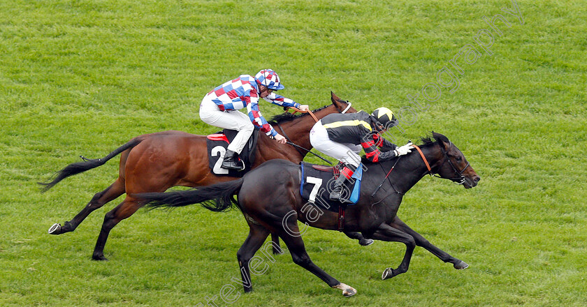 Global-Destination-0005 
 GLOBAL DESTINATION (Gerald Mosse) wins The Be Wiser Insurance Handicap
Newbury 13 Jun 2019 - Pic Steven Cargill / Racingfotos.com