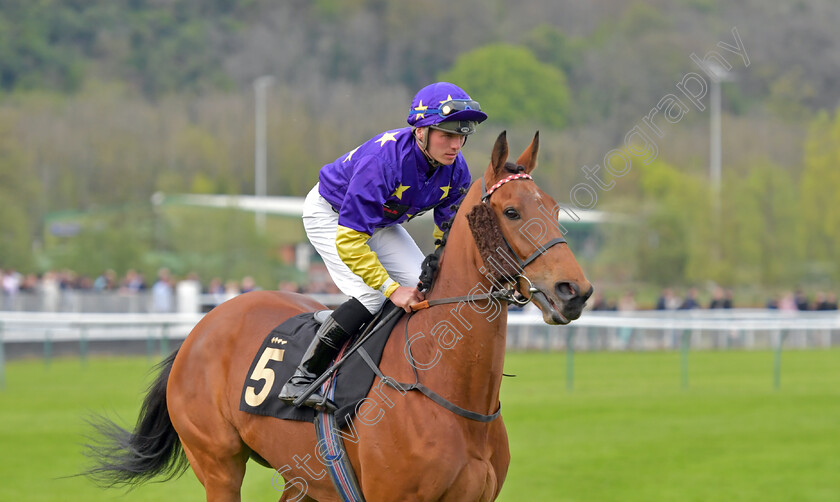 Eponina-0001 
 EPONINA (Theodore Ladd)
Nottingham 22 Apr 2023 - Pic Steven Cargill / Becky Bailey / Racingfotos.com