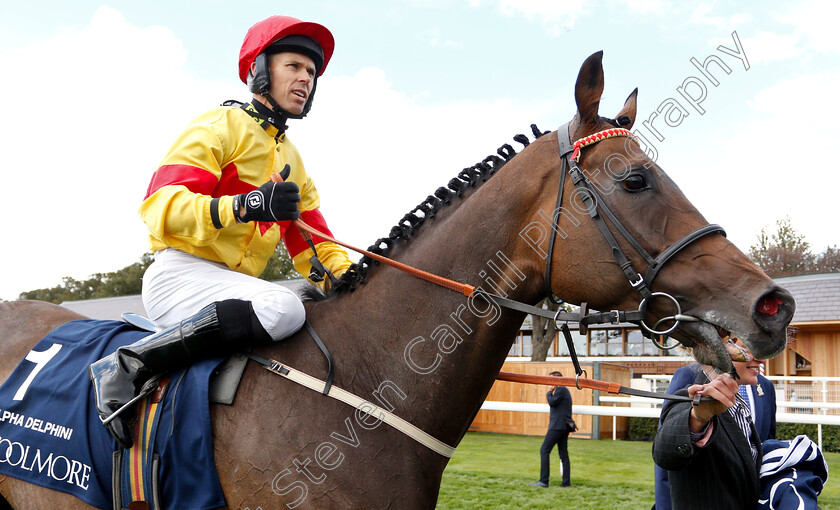 Alpha-Delphini-0010 
 ALPHA DELPHINI (Graham Lee) after The Coolmore Nunthorpe Stakes
York 24 Aug 2018 - Pic Steven Cargill / Racingfotos.com