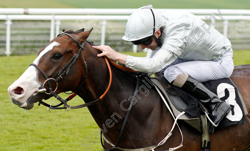 Lake-Volta-0004 
 LAKE VOLTA (Joe Fanning) wins The Thames Materials Bulk Excavations Handicap
Goodwood 24 May 2019 - Pic Steven Cargill / Racingfotos.com