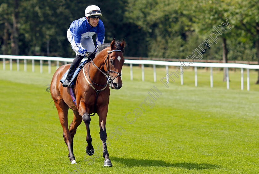 Flying-Secret-0001 
 FLYING SECRET (Charles Bishop)
Salisbury 11 Aug 2021 - Pic Steven Cargill / Racingfotos.com