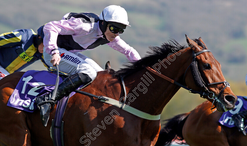 Traffic-Fluide-0003 
 TRAFFIC FLUIDE (Joshua Moore) wins The Barchester Healthcare Silver Trophy Chase Cheltenham 18 Apr 2018 - Pic Steven Cargill / Racingfotos.com