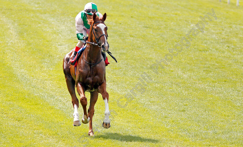 State-Of-Affair-0001 
 STATE OF AFFAIR (Andrea Atzeni)
Sandown 25 Jul 2019 - Pic Steven Cargill / Racingfotos.com