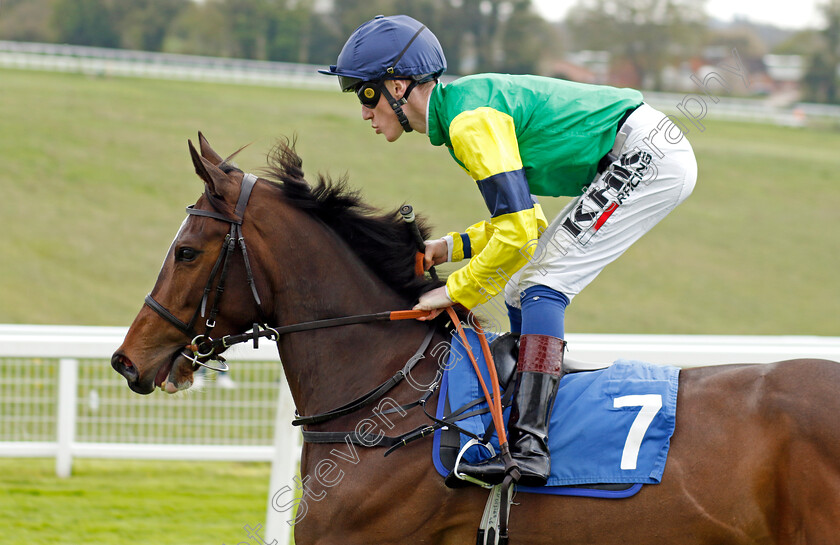 La-Espanola-0001 
 LA ESPANOLA (David Egan)
Epsom 25 Apr 2023 - Pic Steven Cargill / Racingfotos.com