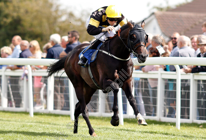 Rise-Hall-0005 
 RISE HALL (Callum Shepherd) wins The M J Church Novice Stakes
Salisbury 16 Aug 2018 - Pic Steven Cargill / Racingfotos.com