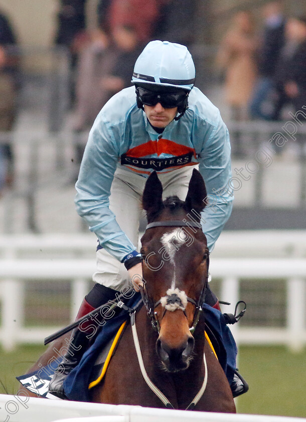 Beauport-0001 
 BEAUPORT (Sam Twiston-Davies)
Ascot 21 Dec 2024 - Pic Steven Cargill / Racingfotos.com