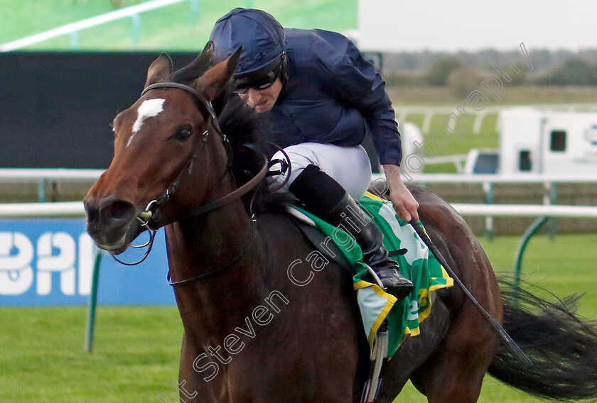 Ylang-Ylang-0003 
 YLANG YLANG (Ryan Moore) wins The bet365 Fillies Mile
Newmarket 13 Oct 2023 - Pic Steven Cargill / Racingfotos.com