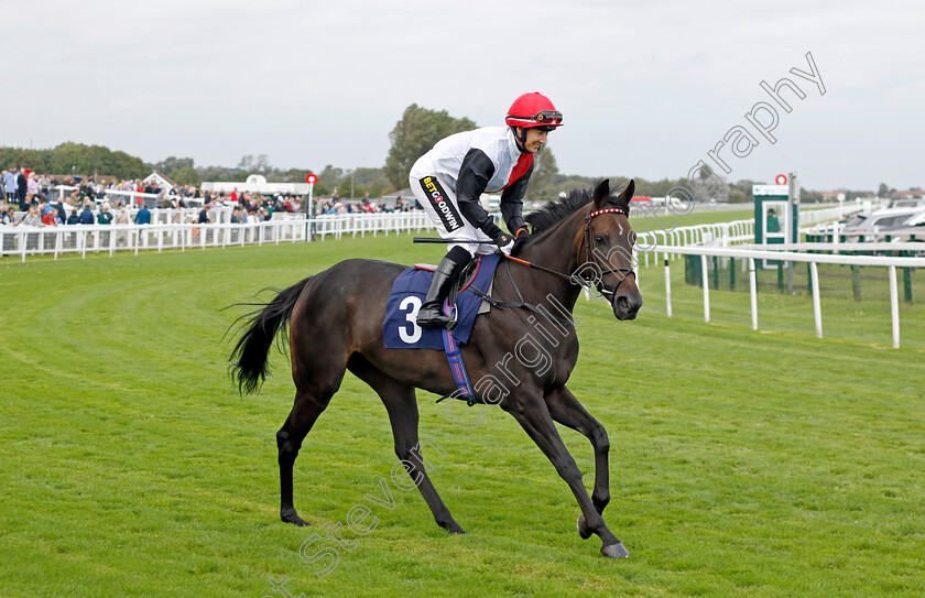 Makinmedoit-0001 
 MAKINMEDOIT (Hayley Turner)
Yarmouth 20 Sep 2023 - Pic Steven Cargill / Racingfotos.com