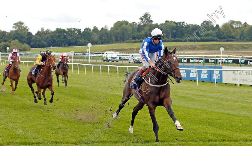 King-Zain-0004 
 KING ZAIN (Franny Norton) wins The Betway EBF Novice Stakes
Lingfield 7 Sep 2020 - Pic Steven Cargill / Racingfotos.com