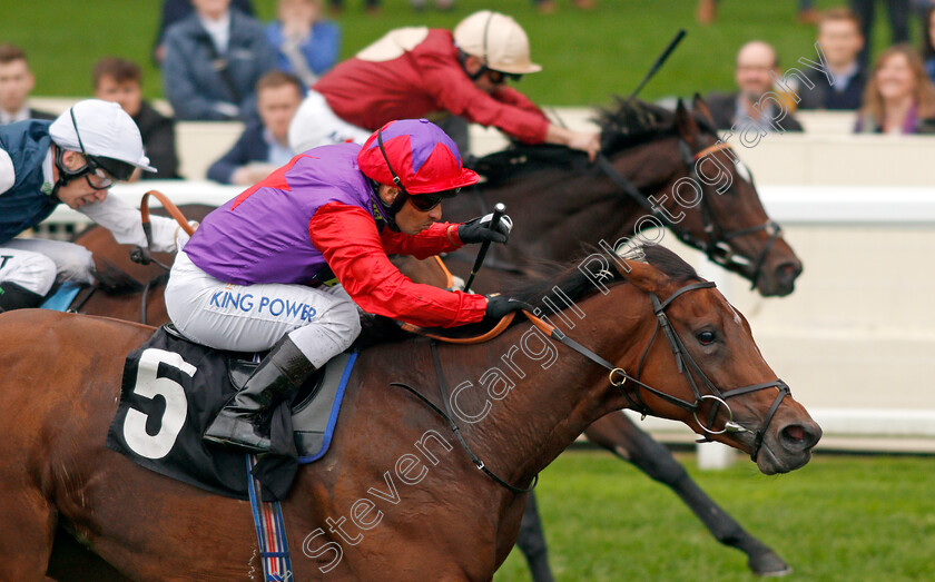 Di-Fede-0006 
 DI FEDE (Silvestre De Sousa) wins The Child Bereavement UK British EBF October Stakes
Ascot 5 Oct 2019 - Pic Steven Cargill / Racingfotos.com