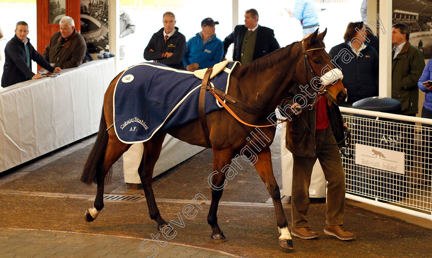 Lot-0145-Streets-Of-Milan-£21000-0001 
 Lot 145 STREETS OF MILAN selling for £21000 at Tattersalls Ireland Ascot November Sale 9 Nov 2017 - Pic Steven Cargill / Racingfotos.com