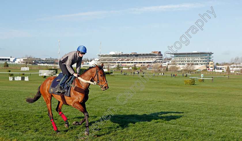 Honeysuckle-0005 
 HONEYSUCKLE exercising on the eve of the Cheltenham Festival
Cheltenham 14 Mar 2022 - Pic Steven Cargill / Racingfotos.com