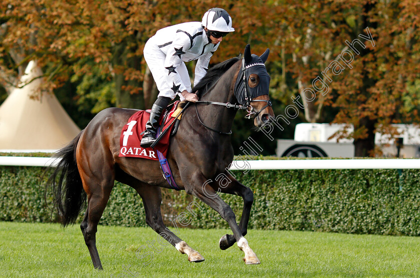 Oscula 
 OSCULA (Ryan Moore)
Longchamp 3 Oct 2021 - Pic Steven Cargill / Racingfotos.com