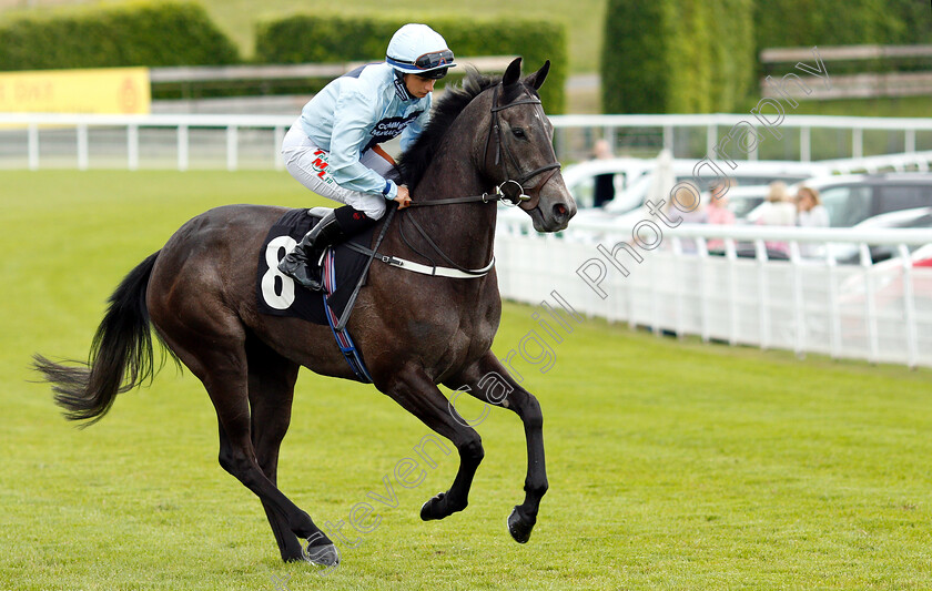 Huddle-0001 
 HUDDLE (Nicola Currie)
Goodwood 24 May 2019 - Pic Steven Cargill / Racingfotos.com