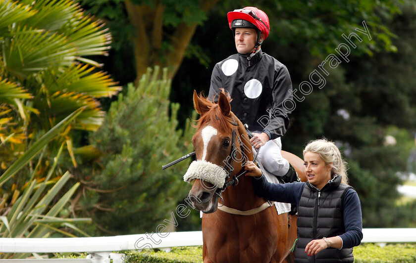 Bated-Beauty-0001 
 BATED BEAUTY (Tom Queally)
Kempton 5 Jun 2019 - Pic Steven Cargill / Racingfotos.com