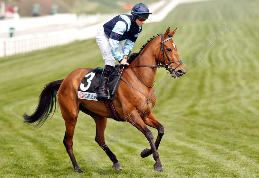 Indefatigable-0001 
 INDEFATIGABLE (Gavin Sheehan) winner of The Glide Mares Novices Hurdle
Cheltenham 18 Apr 2019 - Pic Steven Cargill / Racingfotos.com