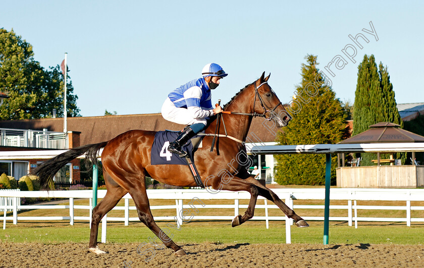 Grandbob-0001 
 GRANDBOB (George Downing)
Lingfield 4 Aug 2020 - Pic Steven Cargill / Racingfotos.com