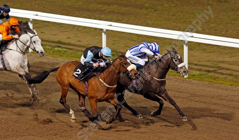 Spring-Romance-0003 
 SPRING ROMANCE (right, David Probert) beats HEALING POWER (left) in The CCR Handicap
Chelmsford 4 Mar 2021 - Pic Steven Cargill / Racingfotos.com