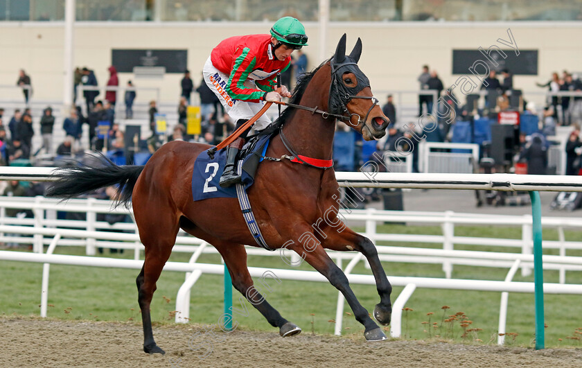 Miss-Bluebelle-0001 
 MISS BLUEBELLE (Trevor Whelan)
Lingfield 20 Jan 2024 - Pic Steven Cargill / Racingfotos.com