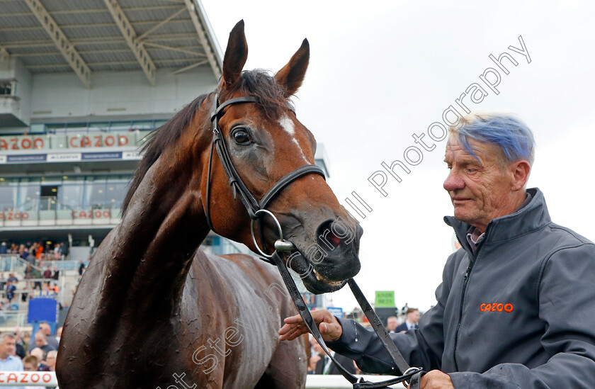 Eldar-Eldarov-0020 
 ELDAR ELDAROV after The Cazoo St Leger Stakes
Doncaster 11 Sep 2022 - Pic Steven Cargill / Racingfotos.com