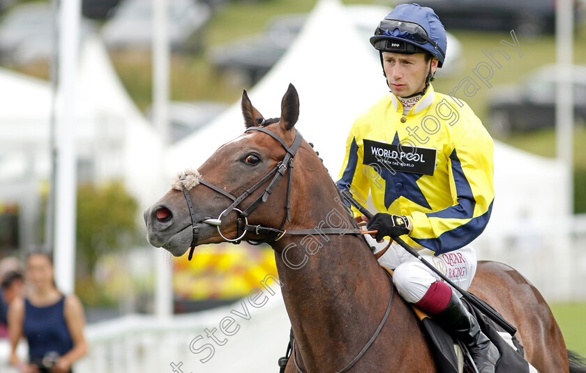 Spanish-Phoenix-0001 
 SPANISH PHOENIX (Oisin Murphy)
Goodwood 1 Aug 2023 - Pic Steven Cargill / Racingfotos.com