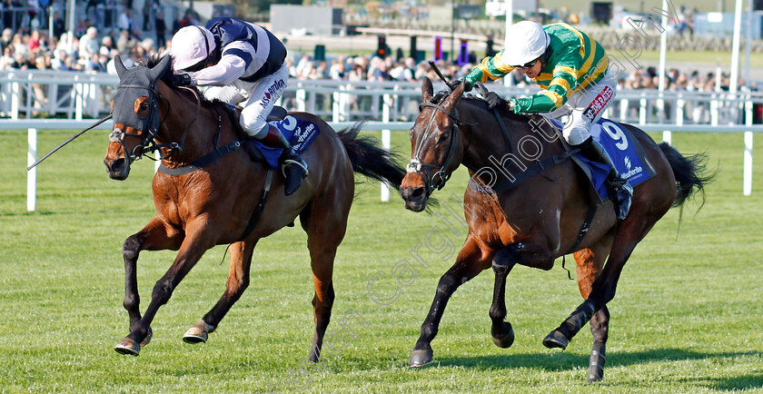 Another-Hero-0002 
 ANOTHER HERO (right, Barry Geraghty) beats SINGLEFARMPAYMENT (left) in The Weatherite Handicap Chase Cheltenham 18 Apr 2018 - Pic Steven Cargill / Racingfotos.com