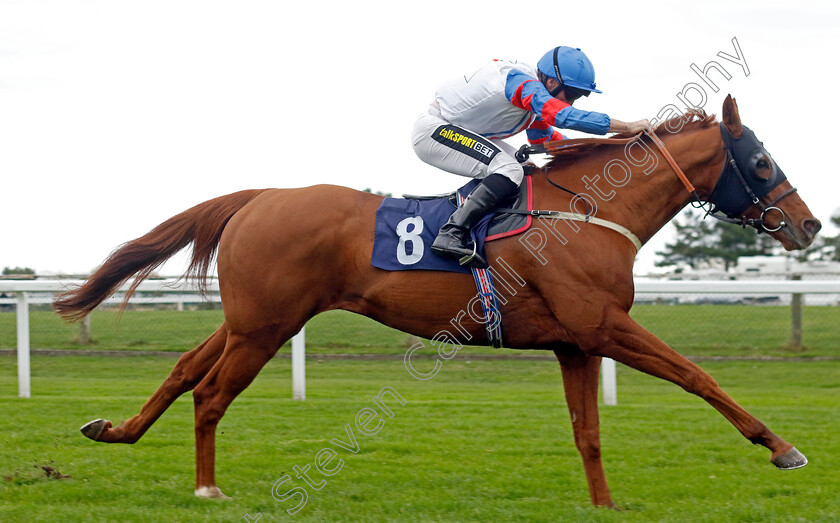 Oman-0001 
 OMAN (Neil Callan) wins The Xenor Logistics Local Global Personal Handicap
Yarmouth 22 Oct 2024 - Pic Steven Cargill / Racingfotos.com