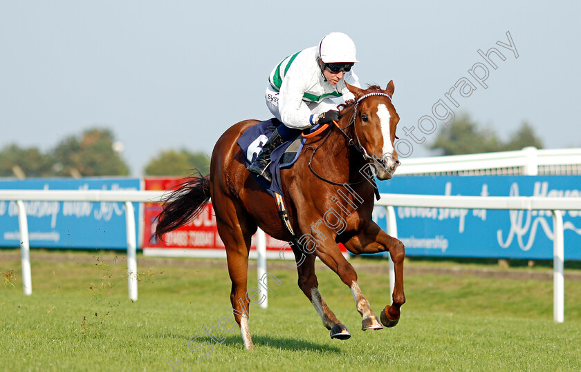 Heat-of-The-Moment-0006 
 HEAT OF THE MOMENT (Jim Crowley) wins The British EBF Fillies Novice Stakes
Yarmouth 19 Oct 2021 - Pic Steven Cargill / Racingfotos.com