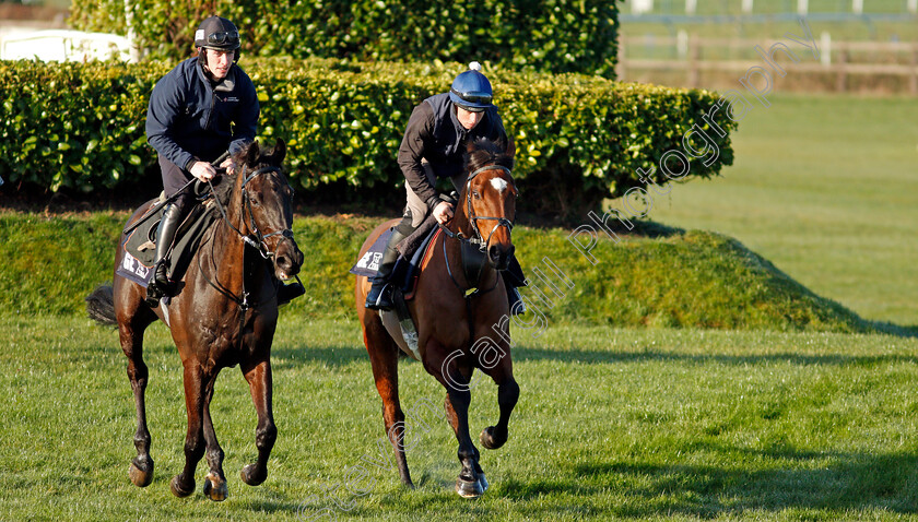 Tiger-Roll-0008 
 TIGER ROLL (right) with DELTA WORK (left) exercising on the eve of the Cheltenham Festival
Cheltenham 14 Mar 2022 - Pic Steven Cargill / Racingfotos.com