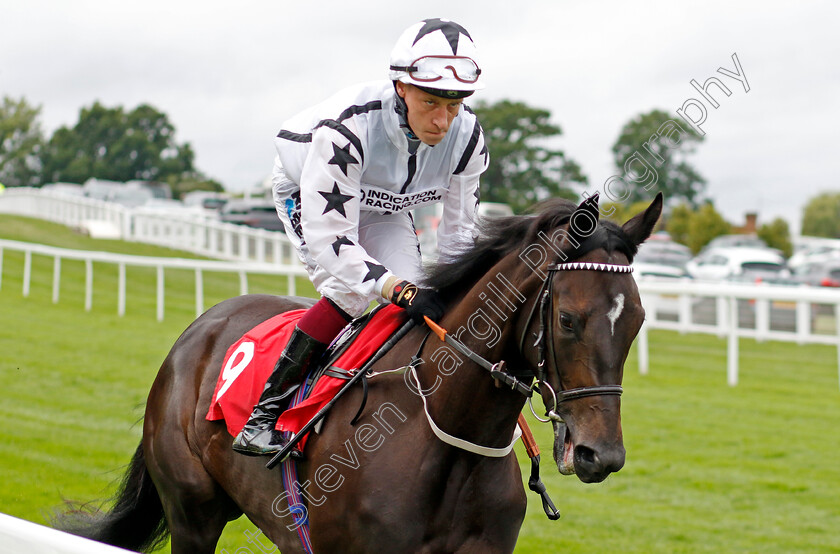 Love-Talk-0001 
 LOVE TALK (Sam James)
Sandown 25 Jul 2024 - Pic Steven Cargill / Racingfotos.com