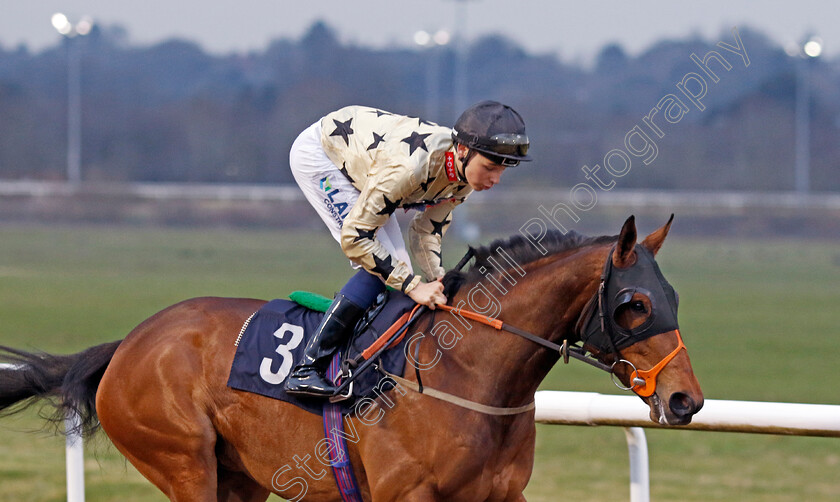 Queues-Likely-0004 
 QUEUES LIKELY (Billy Loughnane) winner of The Best Racing Odds Guaranteed At Betmgm Handicap
Wolverhampton 9 Mar 2024 - Pic Steven Cargill / Racingfotos.com