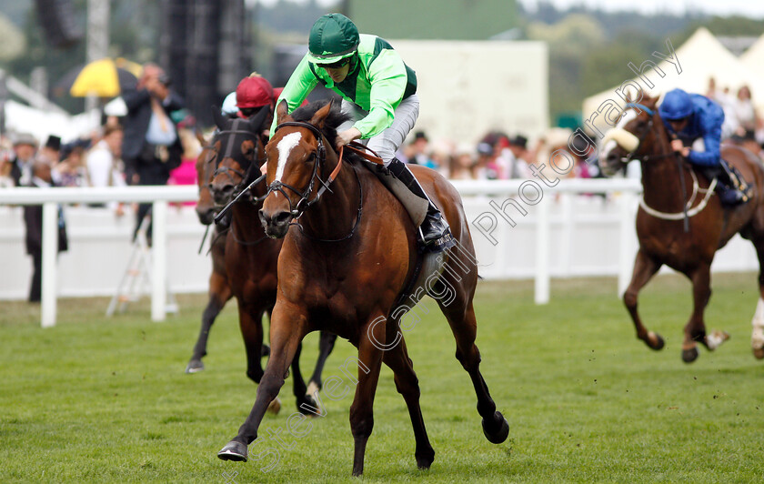 Settle-For-Bay-0005 
 SETTLE FOR BAY (Billy Lee) wins The Royal Hunt Cup
Royal Ascot 20 Jun 2018 - Pic Steven Cargill / Racingfotos.com