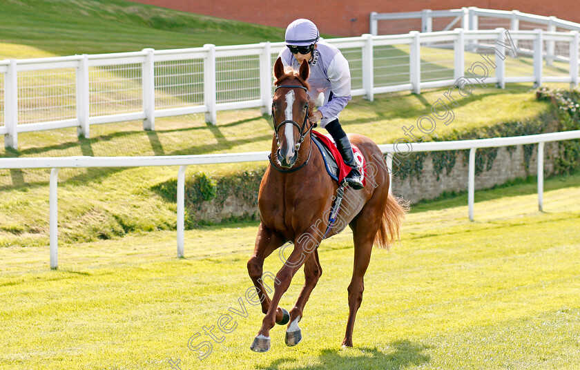 Mascat-0001 
 MASCAT (Harry Bentley)
Sandown 30 Aug 2019 - Pic Steven Cargill / Racingfotos.com