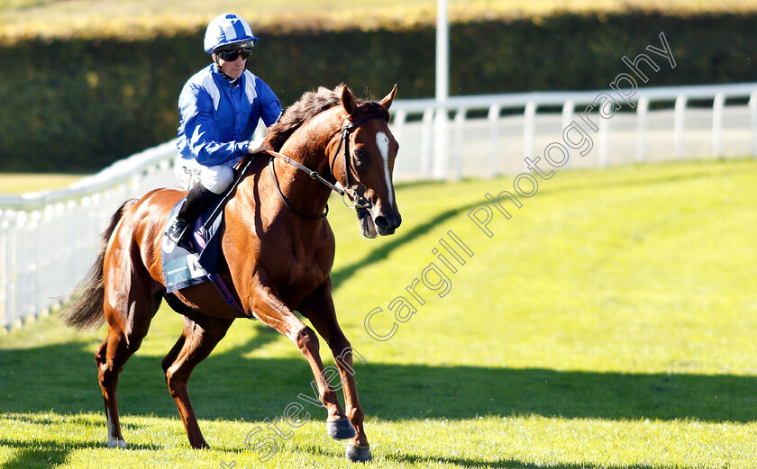 Gabr-0001 
 GABR (Jim Crowley) before winning The British Stallion Studs EBF Foundation Stakes
Goodwood 26 Sep 2018 - Pic Steven Cargill / Racingfotos.com