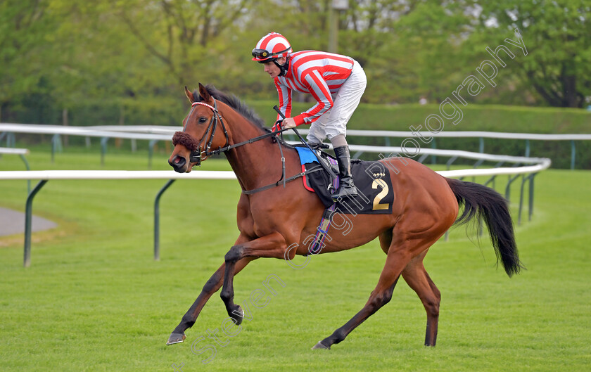 Gemini-Star-0001 
 GEMINI STAR (Kieran O'Neill)
Nottingham 22 Apr 2023 - pic Steven Cargill / Becky Bailey / Racingfotos.com