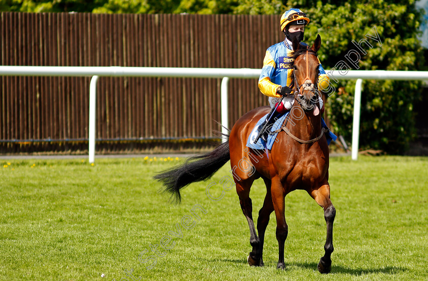 Cream-Of-The-Crop-0001 
 CREAM OF THE CROP (Oisin Murphy)
Leicester 1 Jun 2021 - Pic Steven Cargill / Racingfotos.com