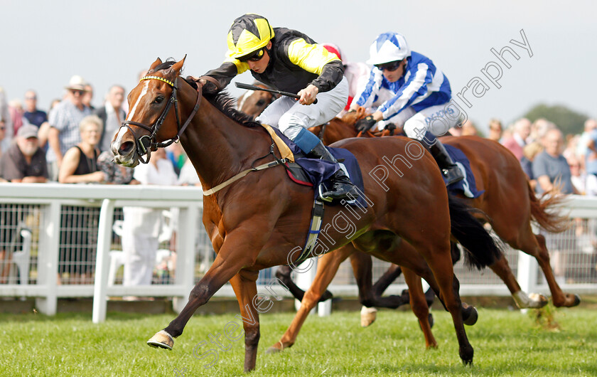 Wajd-0004 
 WAJD (William Buick) wins The British EBF Fillies Novice Stakes
Yarmouth 16 Sep 2021 - Pic Steven Cargill / Racingfotos.com