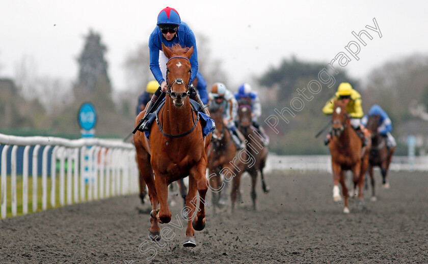 Kestenna-0005 
 KESTENNA (Robert Havlin) wins The Unibet Casino Deposit £10 Get £40 Bonus Fillies Novice Stakes
Kempton 16 Feb 2021 - Pic Steven Cargill / Racingfotos.com