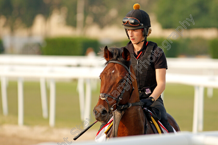 Bangkok-0001 
 BANGKOK training for the Bahrain International Trophy
Rashid Equestrian & Horseracing Club, Bahrain, 18 Nov 2020