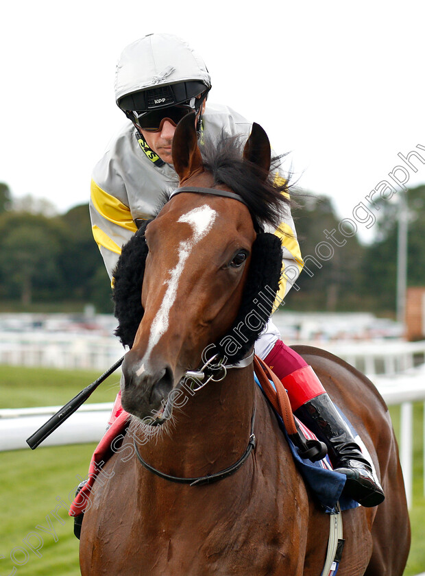 Zaaki-0001 
 ZAAKI (Frankie Dettori)
York 25 Aug 2018 - Pic Steven Cargill / Racingfotos.com